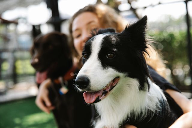From Feeding Schedules to Pickup Times: How Agentic Commerce Could Coordinate the Modern Pet Daycare Experience